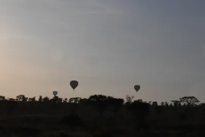 DSC_3749 (Large).JPG